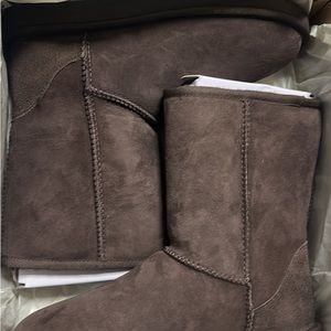 Classic chocolate Uggs brand new size 8